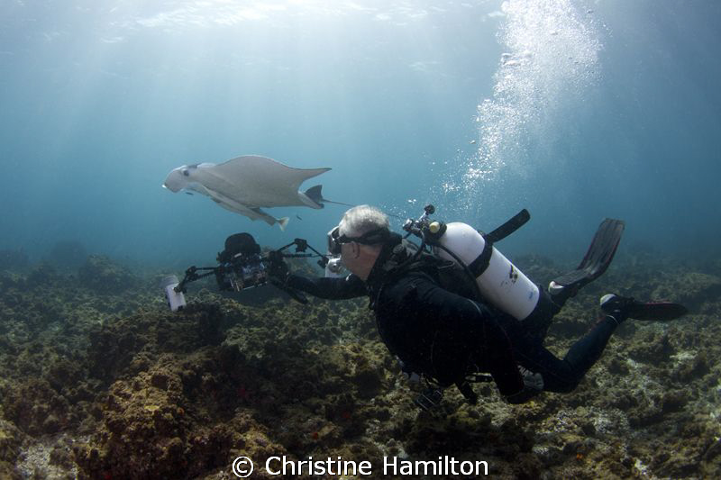 Shooting Mantas by Christine Hamilton 