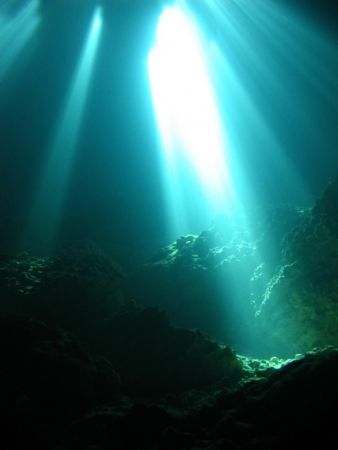 Taken in Devil's Den, Florida..a natural spring inside a ... by Matthew Washburn 