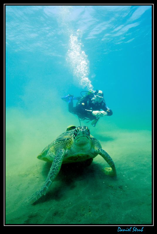 Buddy JC on his first tropical water dives in Marsa Abu D... by Daniel Strub 