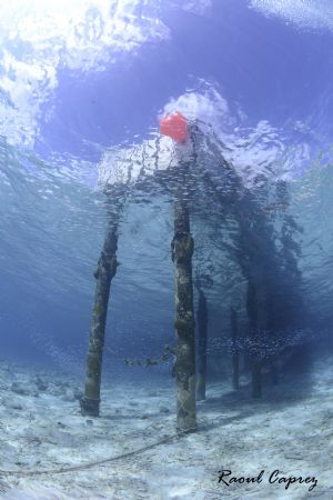 Just the jetty of "Buddy Dive Resort" (Bonaire) by Raoul Caprez 