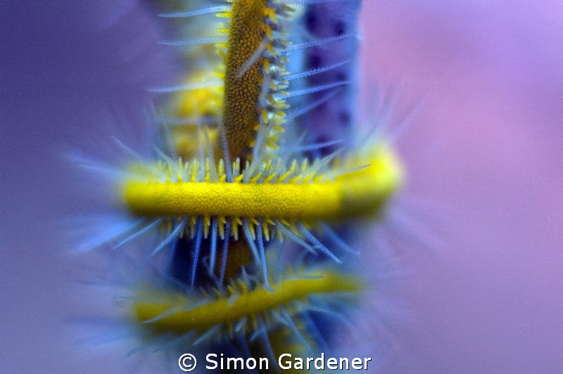 abstract by Simon Gardener 