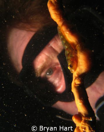 the last day of diving for the DUC Shootout... my dive mo... by Bryan Hart 
