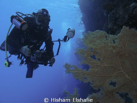 taken with Canon G12 by Hisham Elshafie 