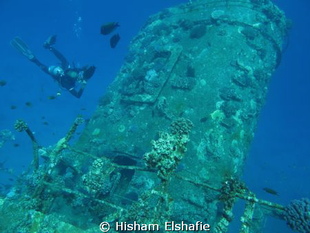 Giannis D wreck 
 by Hisham Elshafie 