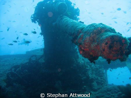 Anti aircraft Gun on the Thistlegorm wreck. by Stephan Attwood 