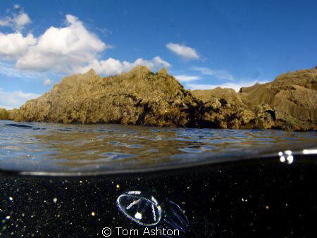 Primordial soup
Plankton swarm at Eyemouth, Scotland by Tom Ashton 