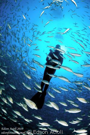 Inside the school of fish by Edson Acioli 