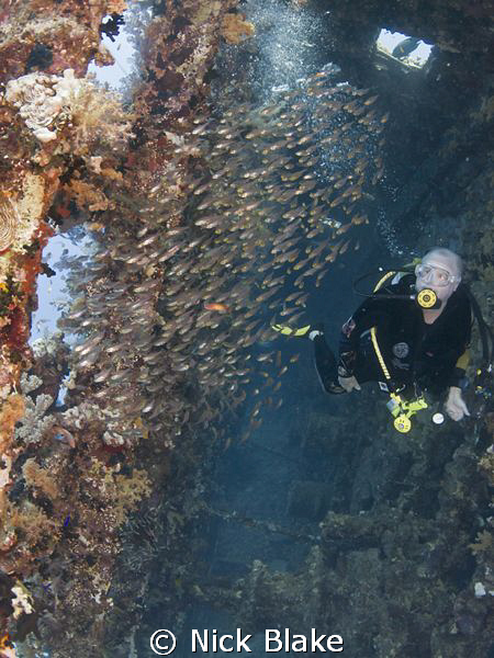 Enjoying a dive on the Carnatic by Nick Blake 