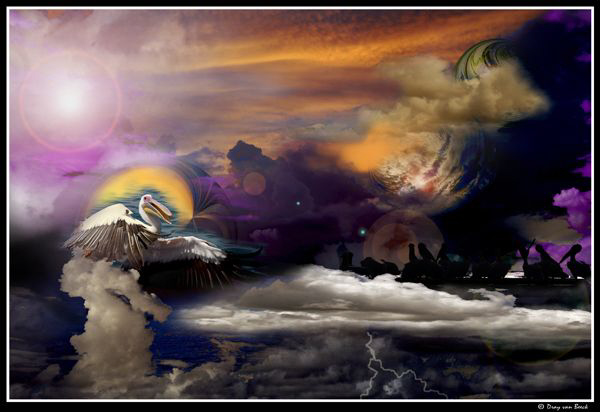 Pelicans at sunset. by Dray Van Beeck 