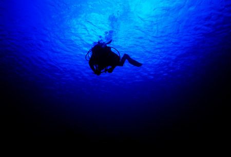 In To The Deep - This was one of the first images I ever ... by Michael Shope 