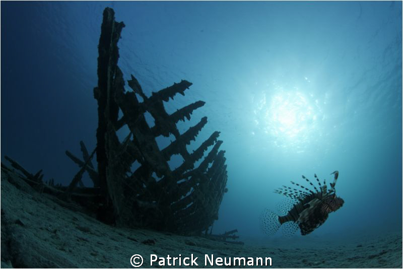 natural light by Patrick Neumann 