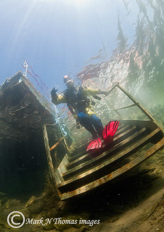 Pink fins.
Eccleston Delph.
15mm. by Mark Thomas 
