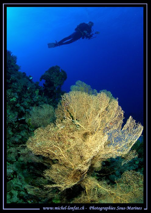 Red Sea Atmosphere... by Michel Lonfat 