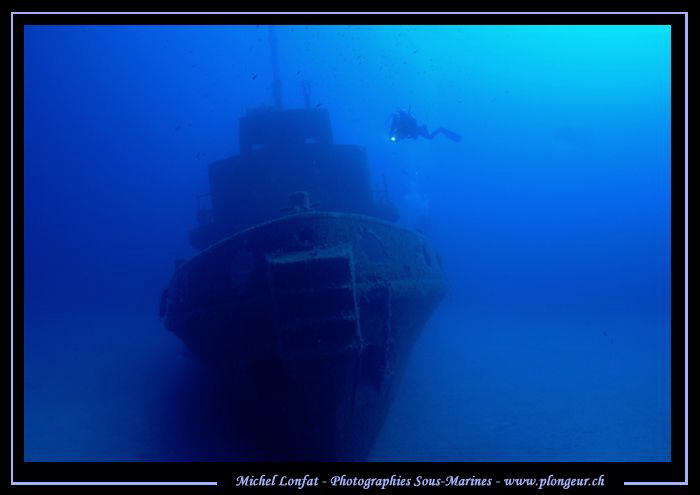 Diving the Rosy... :O)... by Michel Lonfat 