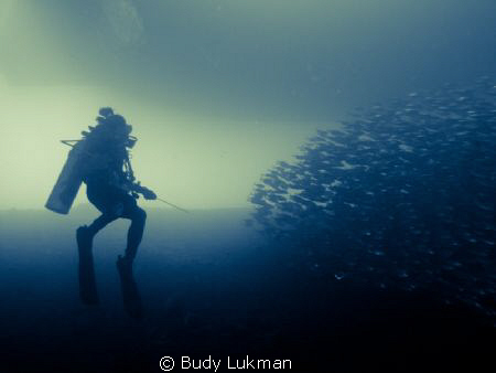 Go Back!!! by Budy Lukman 