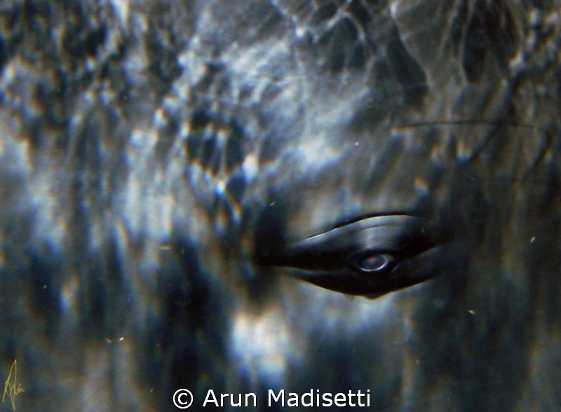 normally an image of an eyeball would be macro, not in th... by Arun Madisetti 