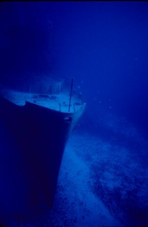 C52 Cozumel Mx - Taken with available light Sea&Sea MM II... by Michael Shope 