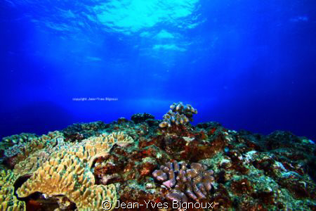 Confiti Bay Mauritius 9metres by Jean-Yves Bignoux 