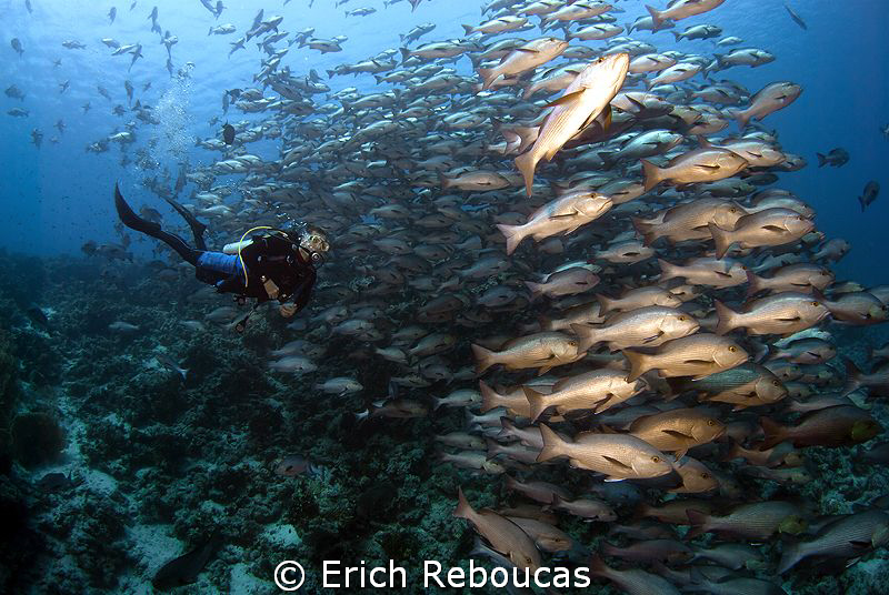 A diver in heaven :) by Erich Reboucas 