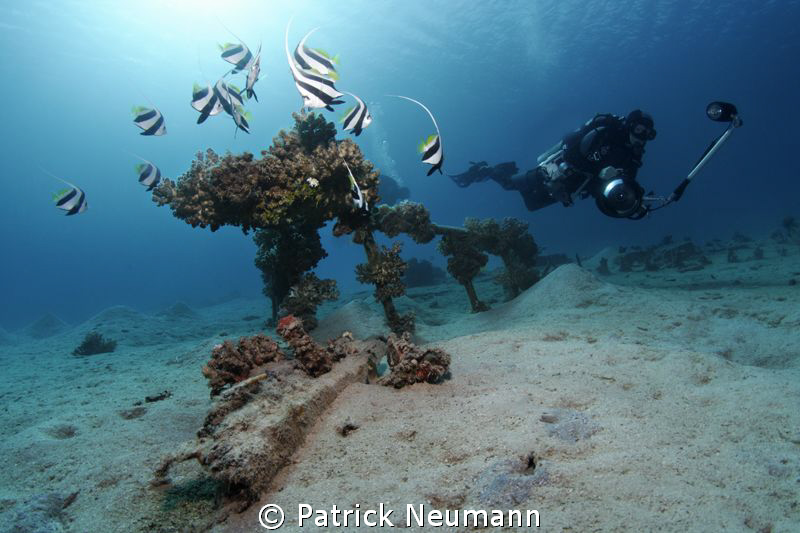 Makadi Bay, Egypt by Patrick Neumann 