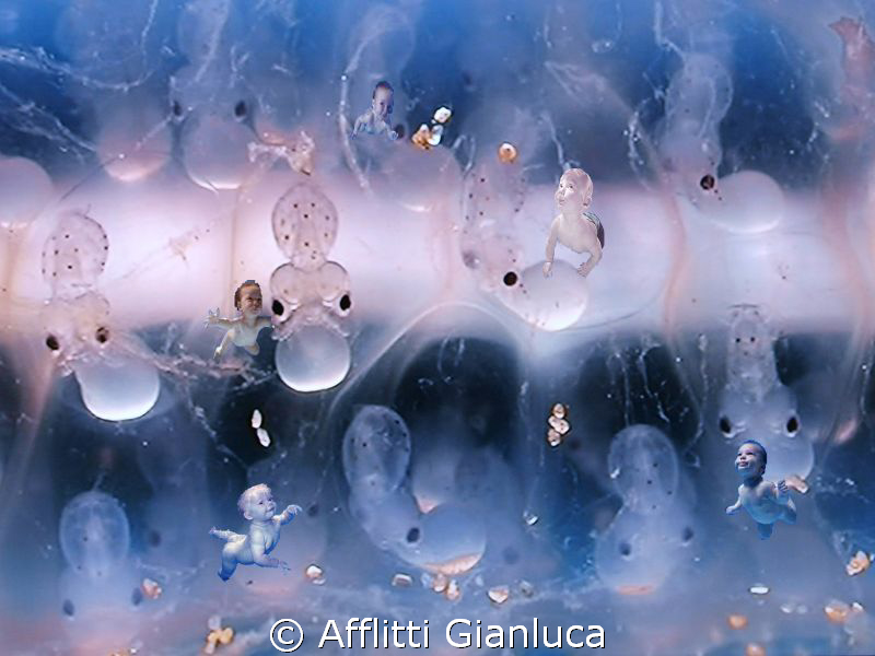 the beginnings of life by Afflitti Gianluca 
