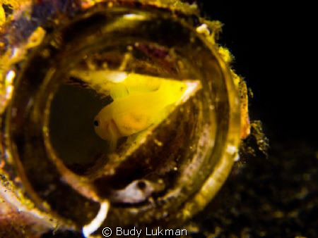 Inside a bottle by Budy Lukman 