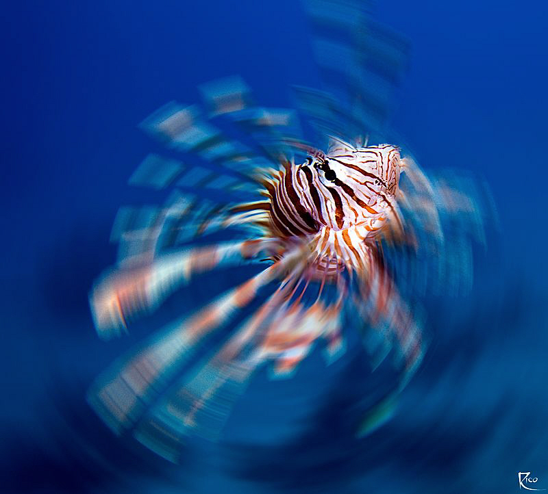 Vertigo :-))) by Rico Besserdich 
