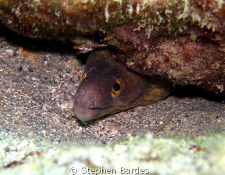 Me and my little friend by Stephen Bardes 
