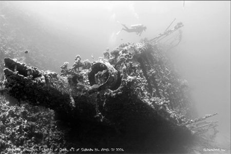 Carnatic, Straits of Gubal N'E of Shaduan Island, Red Sea... by Dan Ashkenasi 