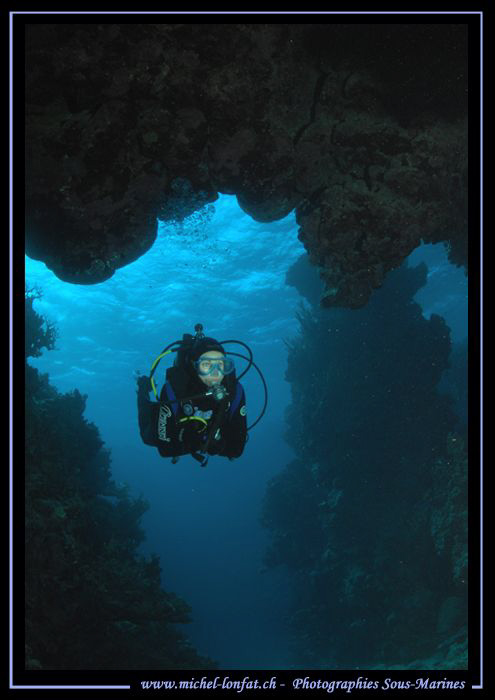 Exploring the wonders of the Red Sea.... :O)... by Michel Lonfat 