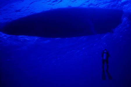 Safety Stop - taken in Cozumel of a diver at his safty st... by Michael Shope 