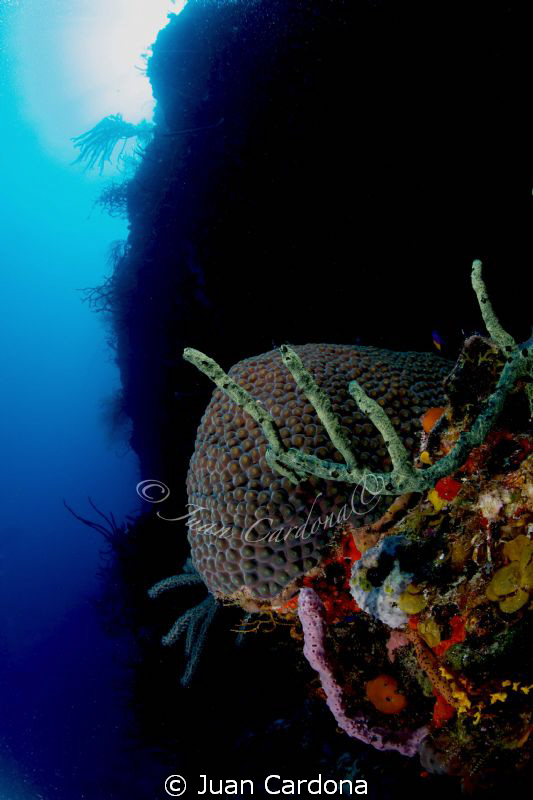 cayo blanco wall by Juan Cardona 