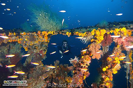 WW2 Wreck on the west coast of Sabah acessed from the Dow... by Richard Swann 