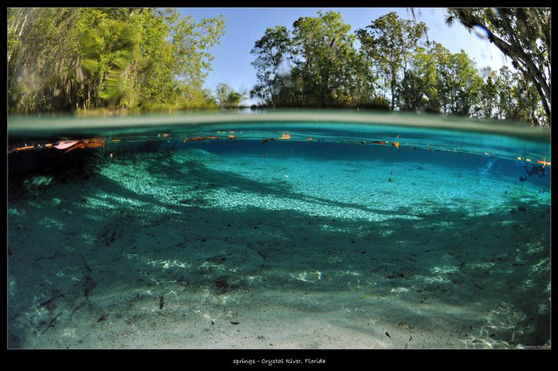 Crystal river_Florida by Mathieu Foulquié 