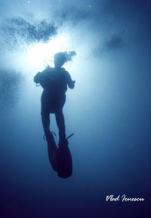 My beutiful model @ Blue Hole Dahab-Red Sea. No name u/w ... by Vlad Ionescu 