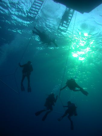 Doing the safety stop aboard the Turks and Caicos Aggress... by Charlie Foreman 