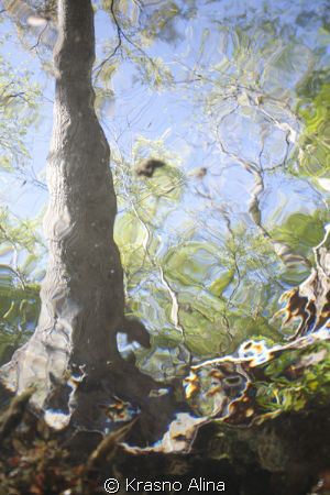 the view from the underwater. No flash, unedited by Krasno Alina 