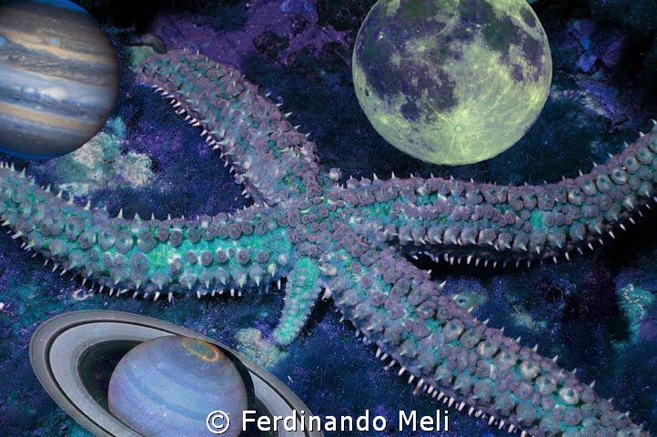 A star in space... by Ferdinando Meli 