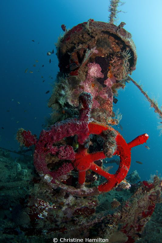 Wreck of the Mbike by Christine Hamilton 