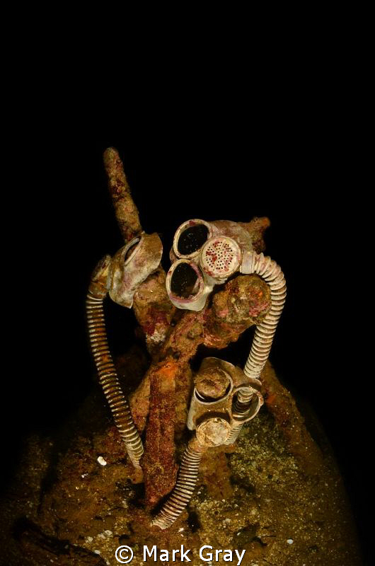 "Ghost's". Collection of Gas masks from the second cargo ... by Mark Gray 