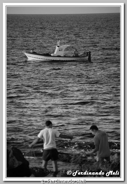 Fishermen casting a net at sunset.
 by Ferdinando Meli 