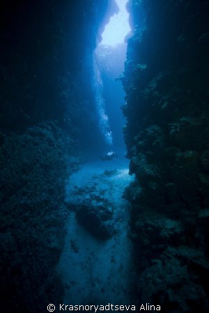 The Canyon, Dahab, 30msw by Krasnoryadtseva Alina 
