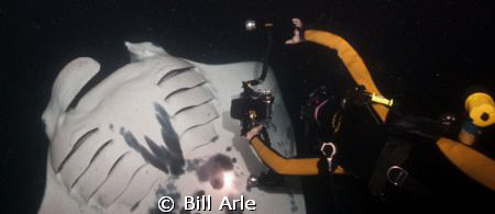 Close encounter.  Manta night dive.  Big Island, Hawaii. by Bill Arle 