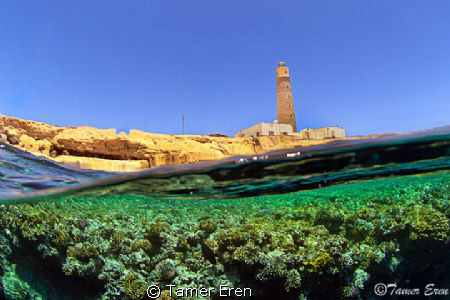 Brother Island by Tamer Eren 