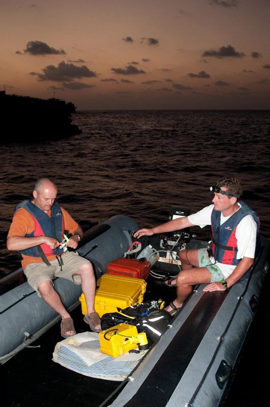 Preparing for a night dive in the South Atlantic by Paul Colley 
