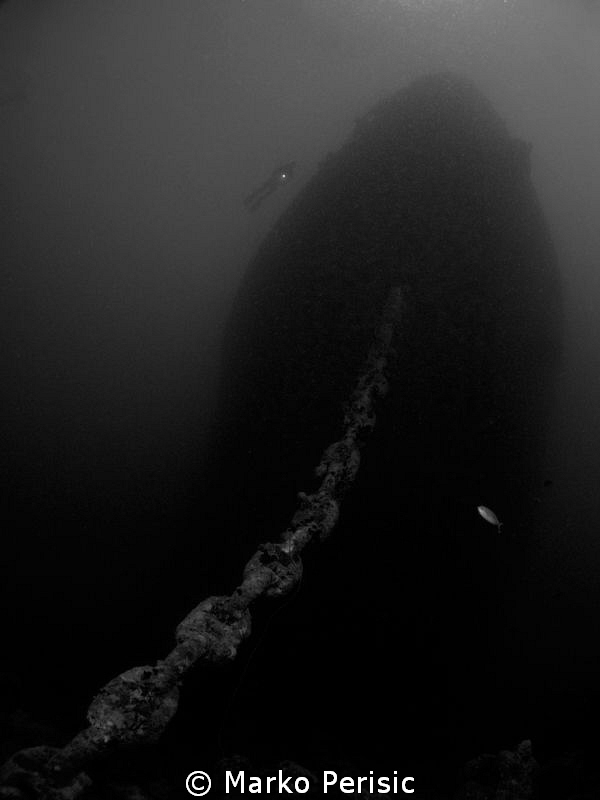 SS THISTLEGORM by Marko Perisic 