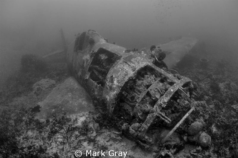 "Hellcat resting". Wreck of a US Hellcat fighter, near Gi... by Mark Gray 