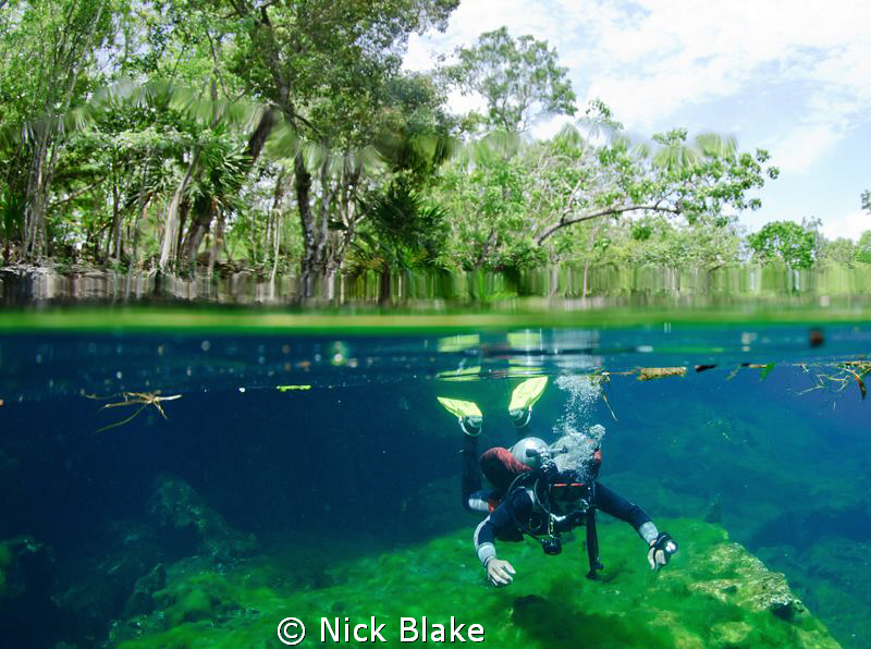 The start of a dive in Ponderosa Cenote, Mexico. by Nick Blake 