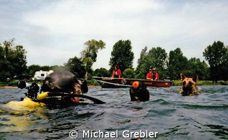 A diver works to help train a cadaver dog. Once "found" b... by Michael Grebler 