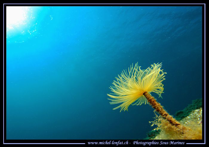 Mediterranean Atmosphere... :O)... by Michel Lonfat 